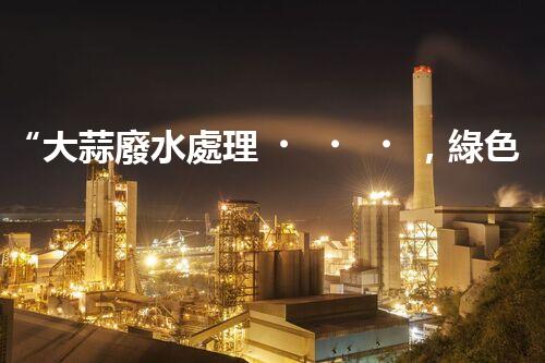 “大蒜廢水處理，綠色環(huán)保新篇章”